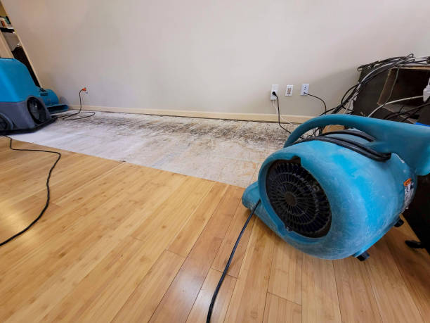 Professional Water Extraction technician working in Mount Vernon, MD